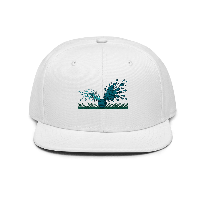 Fizz Snapback — Front dtf hat