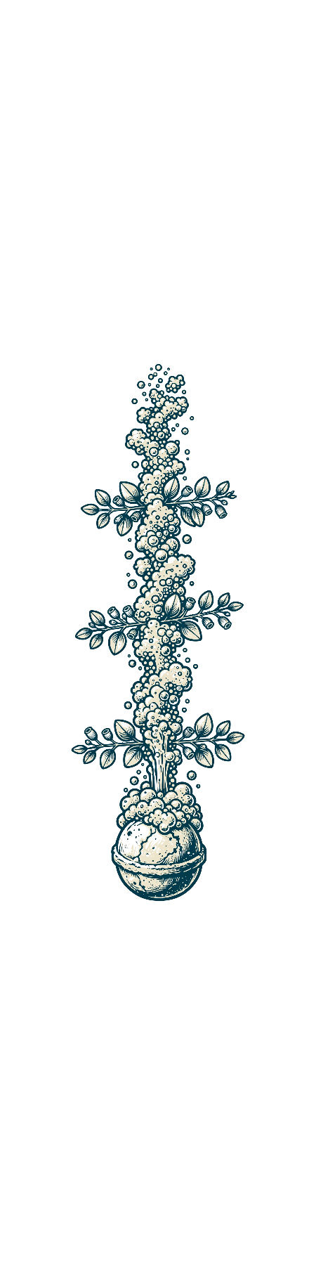 Fizz Rise — exact print artwork