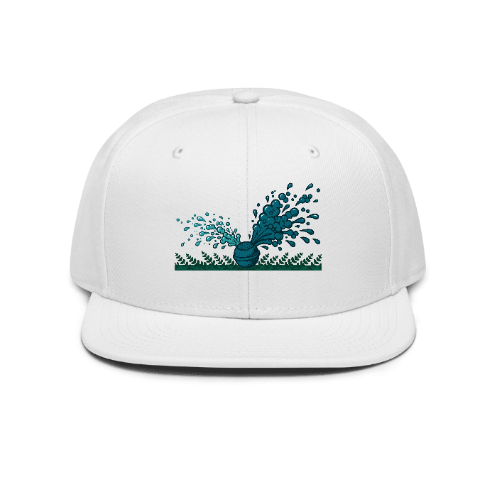 Fizz Snapback — Front · printed design
